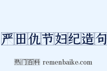 严田仇节妇纪造句是什么意思的图片
